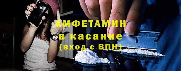 шишки Няндома