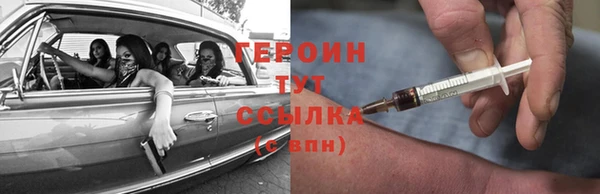 шишки Няндома