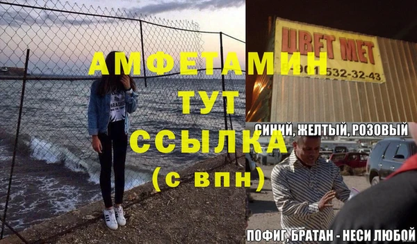 шишки Няндома