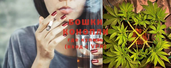 шишки Няндома