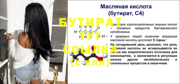 шишки Няндома